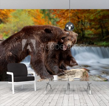 Picture of Two big brown bears standing on stone
